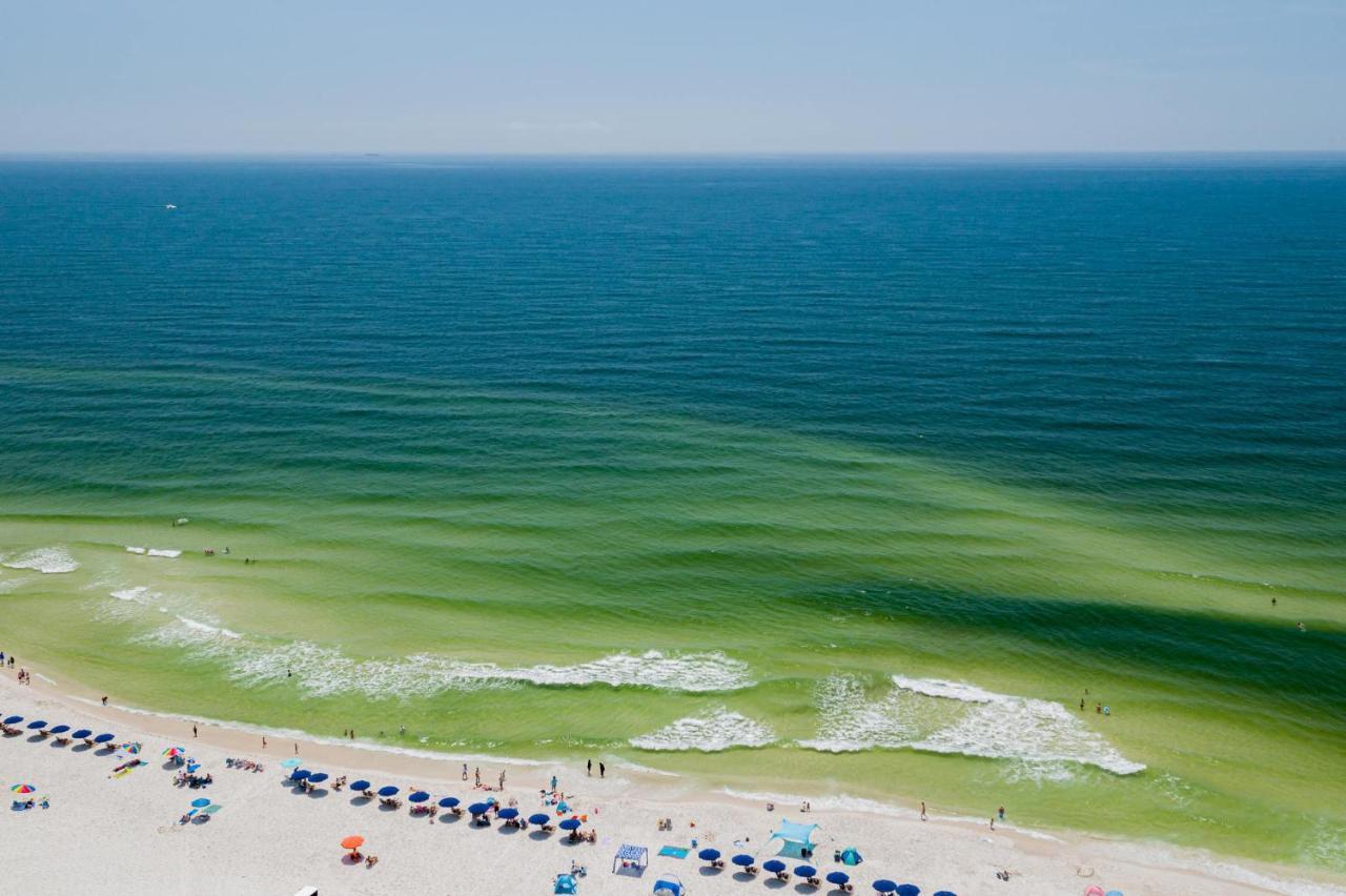 Sunset Spring Break Special ! Apartment Gulf Shores Exterior photo